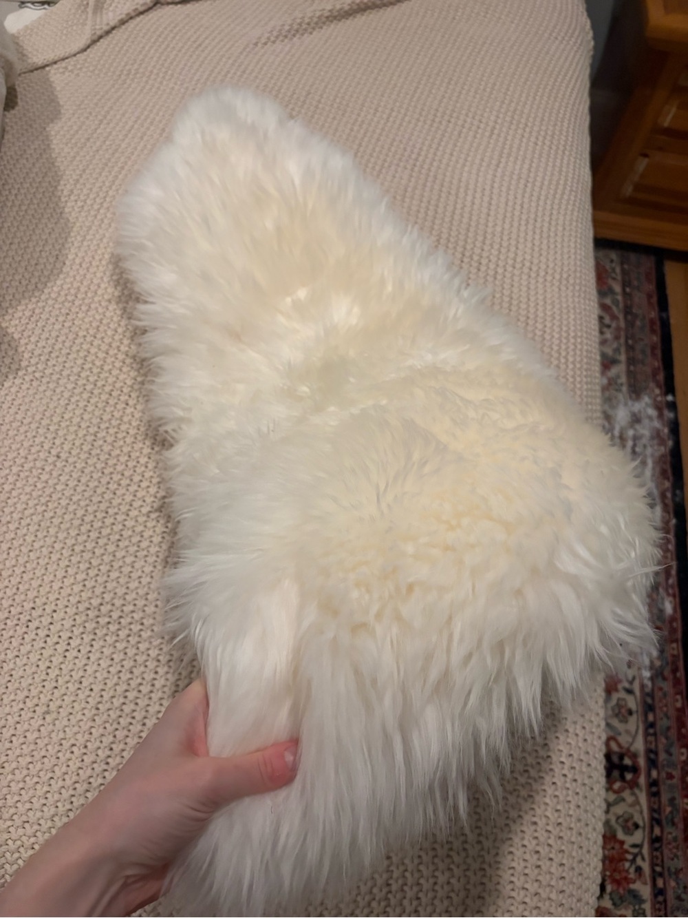 Cream real Sheepskin rug  -the mood
